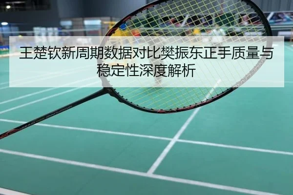 王楚钦新周期数据对比樊振东正手质量与稳定性深度解析